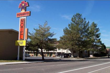 Thunderbird Motel - image 14