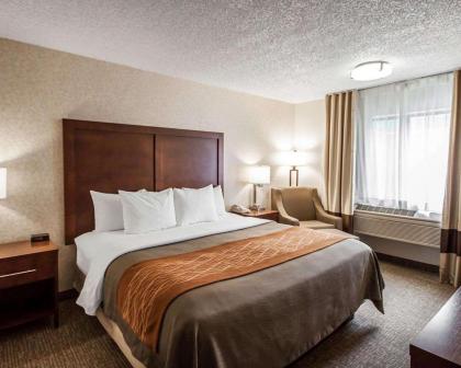 Quality Inn - image 15