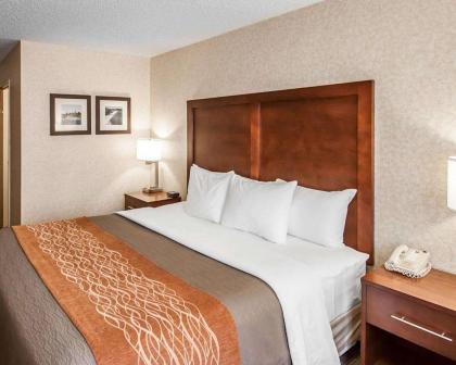 Quality Inn - image 5