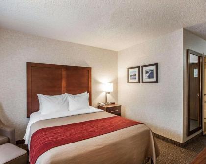 Quality Inn - image 9