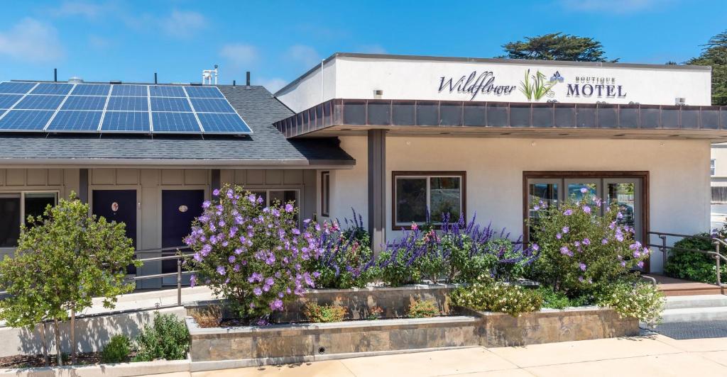 Wildflower Boutique Motel - main image