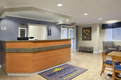 Microtel Inn & Suites By Wyndham Ponchatoula/Hammond - image 5