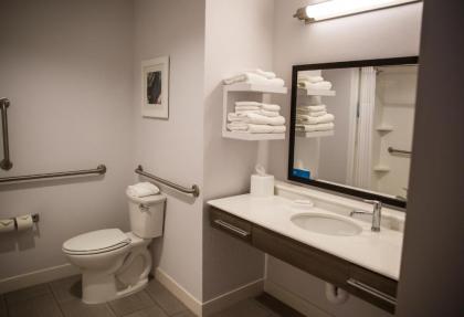 Hampton Inn-Pontiac - image 13