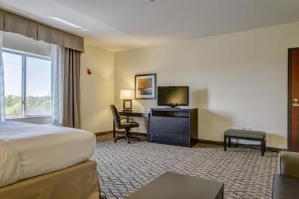 Holiday Inn Poplar Bluff an IHG Hotel - image 9