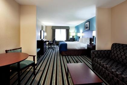 Holiday Inn Express Hotel & Suites Baton Rouge -Port Allen an IHG Hotel - image 14