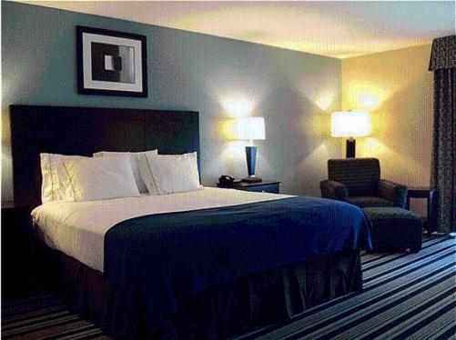 Holiday Inn Express Hotel & Suites Baton Rouge -Port Allen an IHG Hotel - image 2