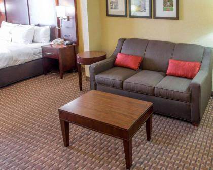 Comfort Suites Port Allen - Baton Rouge - image 4