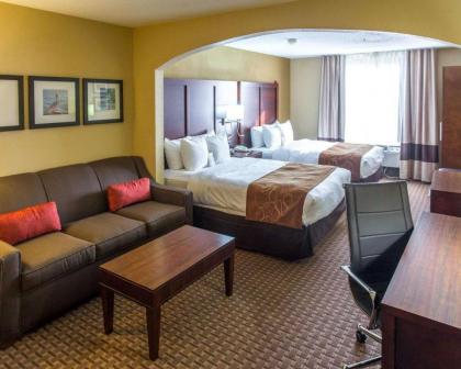 Comfort Suites Port Allen - Baton Rouge - image 6