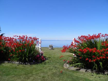 Sea Cliff Gardens - image 14