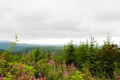 Port Angeles Blue Mountain Lodge with Bunkhouse - image 14