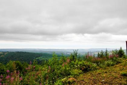 Port Angeles Blue Mountain Lodge with Bunkhouse - image 2