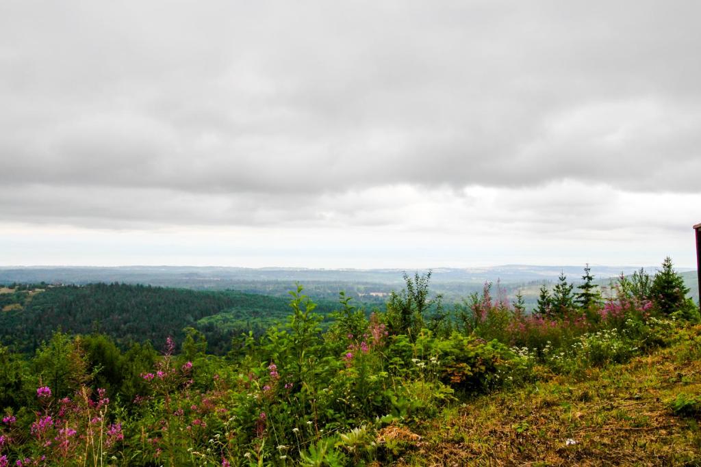 Port Angeles Blue Mountain Lodge with Bunkhouse - image 2