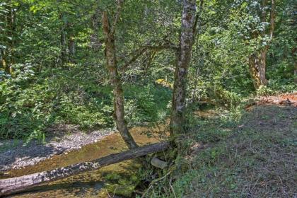 Right Arm Ranch Family Cabin in Port Angeles! - image 9