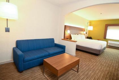 Holiday Inn Express Hotel & Suites Port Clinton-Catawba Island an IHG Hotel - image 11