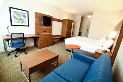 Holiday Inn Express Hotel & Suites Port Clinton-Catawba Island an IHG Hotel - image 4