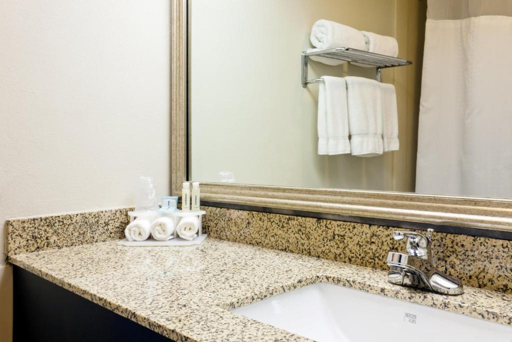 Holiday Inn Express Hotel & Suites Port Clinton-Catawba Island an IHG Hotel - image 7