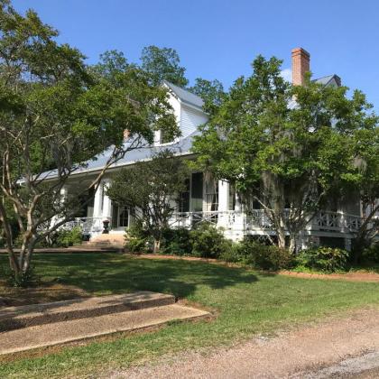 Canemount Plantation Inn - image 13