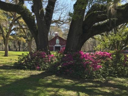 Canemount Plantation Inn - image 8