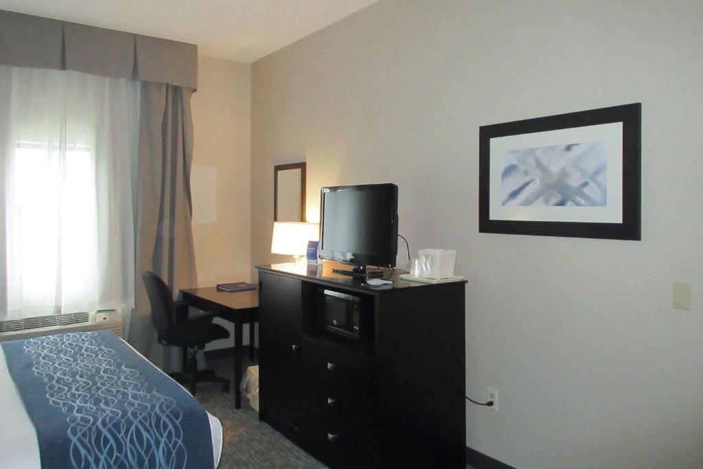 Comfort Inn - image 7