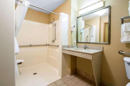 Comfort Suites Wisconsin Dells Area - image 11