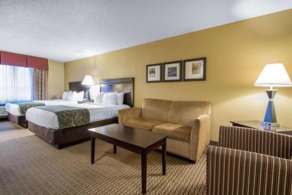 Comfort Suites Wisconsin Dells Area - image 12