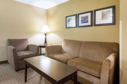 Comfort Suites Wisconsin Dells Area - image 13