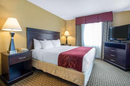 Comfort Suites Wisconsin Dells Area - image 6