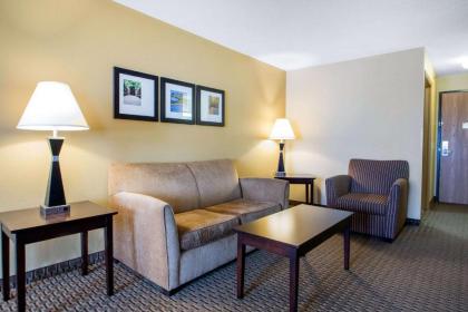 Comfort Suites Wisconsin Dells Area - image 9