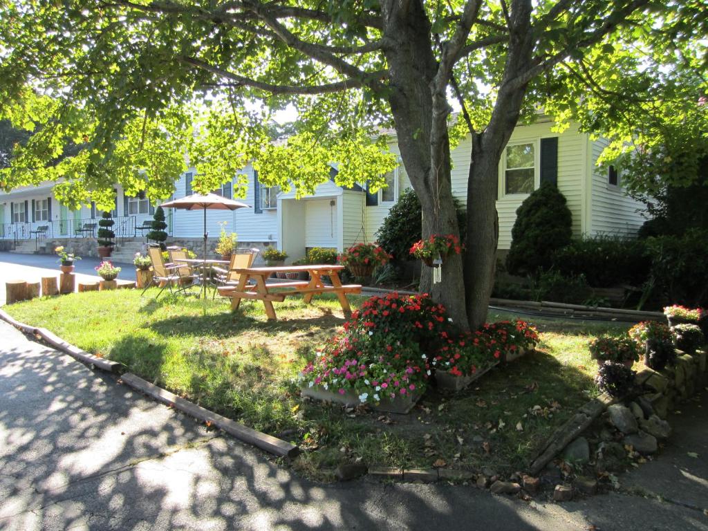 Founder's Brook Motel and Suites - image 5