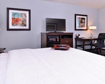 Hampton Inn Potsdam - image 13