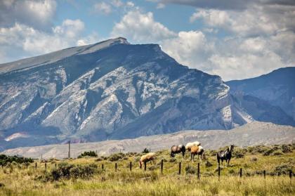 Yellowstone River Lodge with Kayaks Mtn Views! - image 2