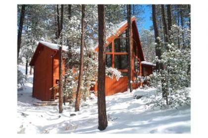 Prescott Cabin with Beautiful Forest Views and Deck! - image 3