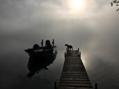 Lakefront Cabin #6 - The Walleye - image 11