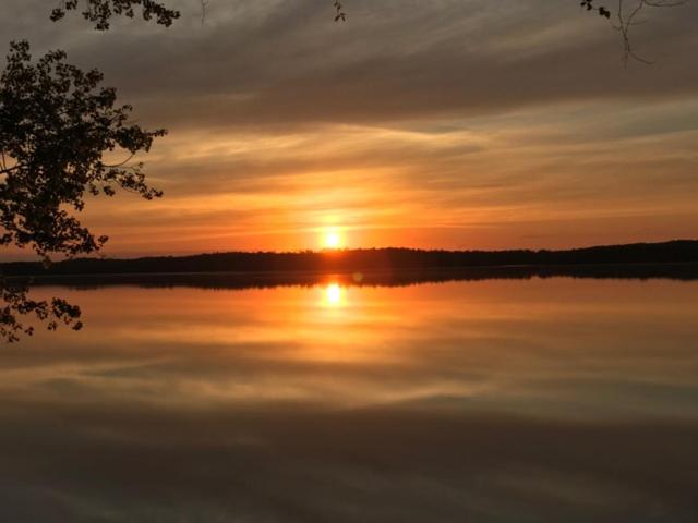 Lakefront Cabin #6 - The Walleye - image 7