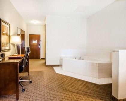 Comfort Suites Prestonsburg West - image 7