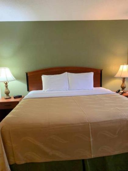 Quality Inn & Suites - image 11