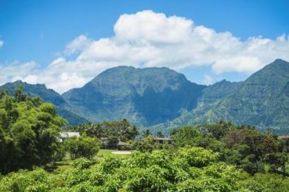 Hanalei Bay Villas #33 - image 2