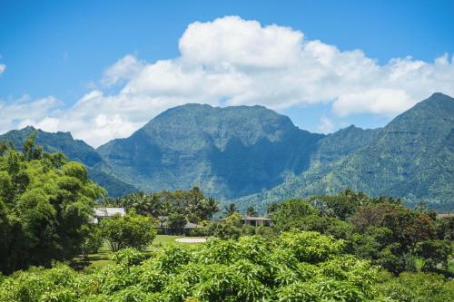 Hanalei Bay Villas #33 - image 2