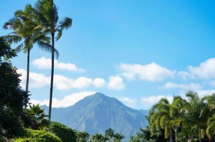 Hanalei Bay Villas #33 - image 5