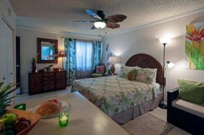 Sandpiper 121B-cute studio with pool BBQ hot tub wifi - image 2