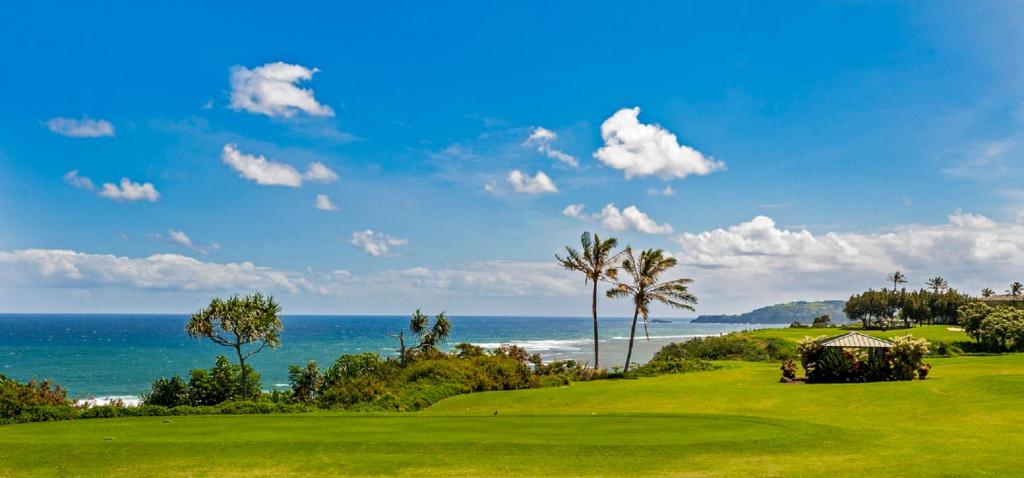 Kamahana 24-great ocean view upstairs corner spacious and private near golf - image 2