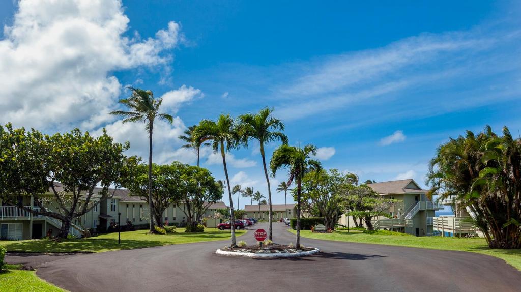 Alii Kai 4303 - Oceanfront views and top floor - watch for whales! - image 5