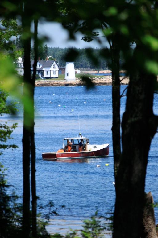 Dragonwood Castle on Waterfront with Stunning View - image 4