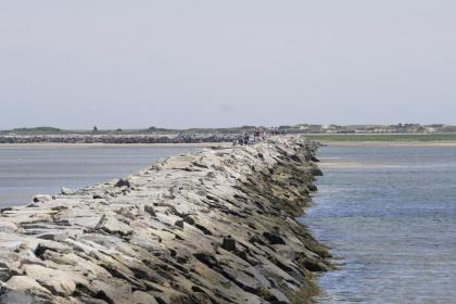 Provincetown Suites - image 6