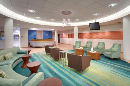 SpringHill Suites by Marriott Provo - image 12