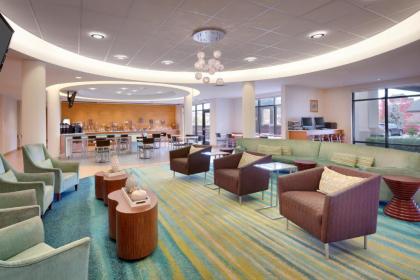 SpringHill Suites by Marriott Provo - image 14