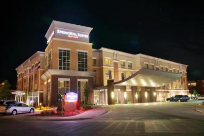 Springhill Suites by Marriott Pueblo Downtown - image 2