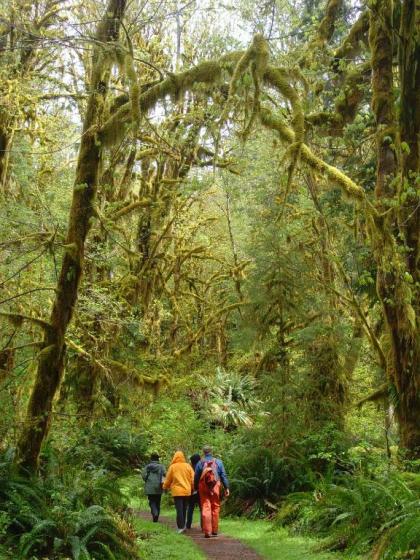 Lake Quinault Lodge - image 13