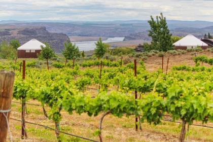 Columbia River Gorge Retreat at Cave B Ridge - image 7