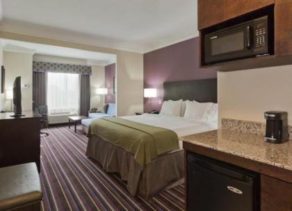 Holiday Inn Express & Suites Raceland - Highway 90 an IHG Hotel - image 2